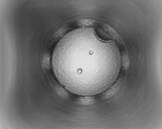 X0000111880378200907301142