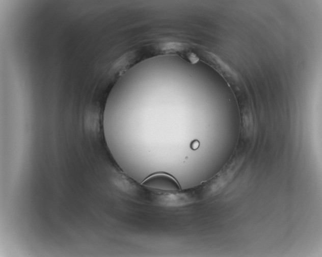X0000111880379200907301142