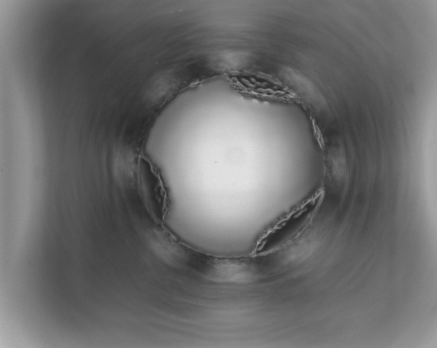X0000111880380200907301142