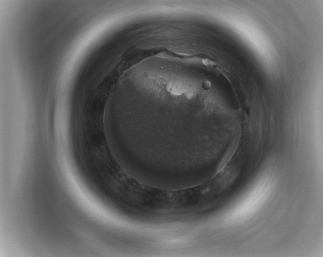 X0000111880383200907301142