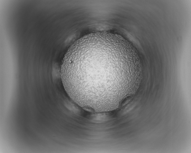 X0000111880384200907301142