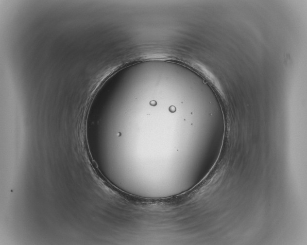 X0000111880385200907301141