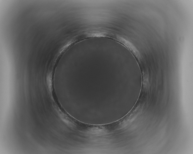 X0000111880386200907301141