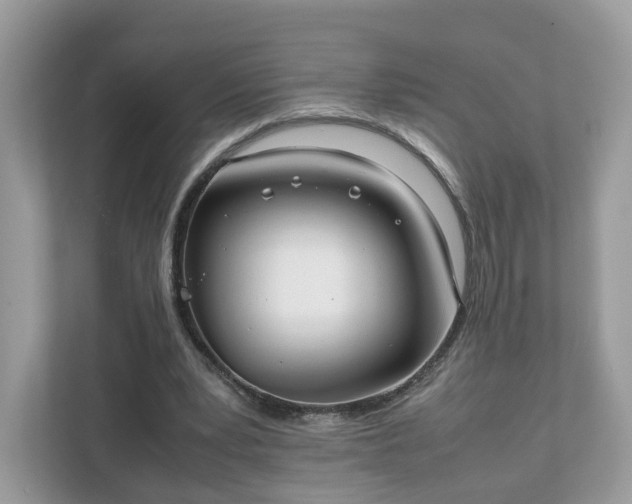 X0000111880391200907301141