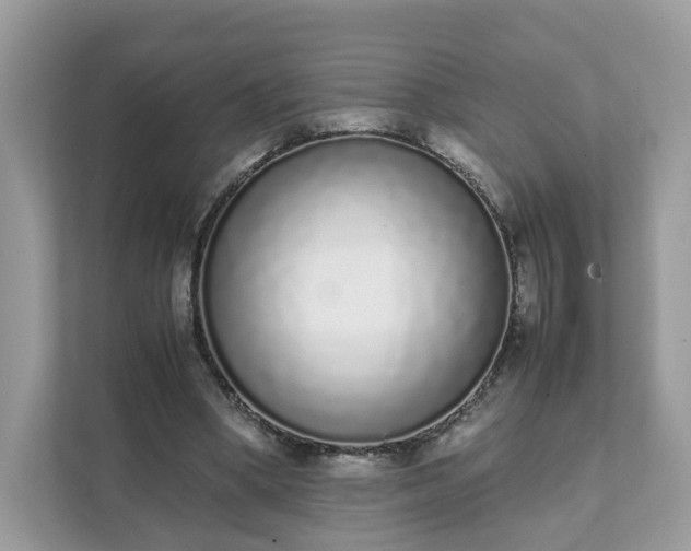 X0000111880394200907301141