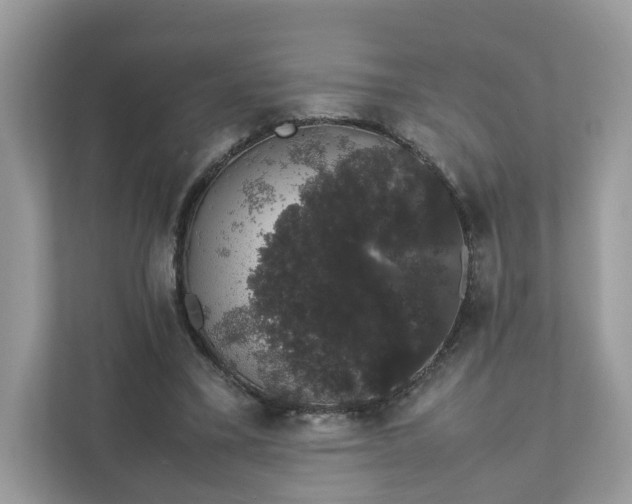 X0000111880395200907301141