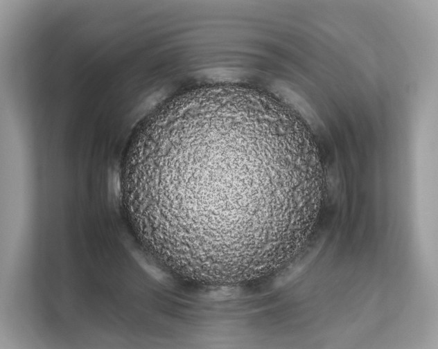 X0000111880398200907301141