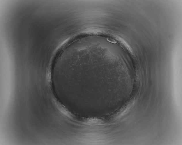 X0000111880399200907301141