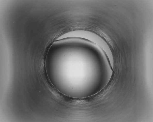 X0000111880401200907301141