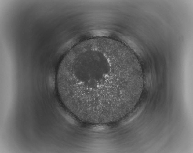 X0000111880402200907301141