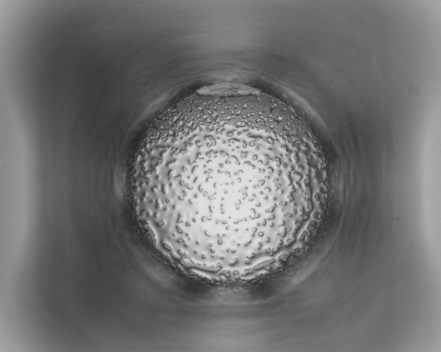 X0000111880403200907301141
