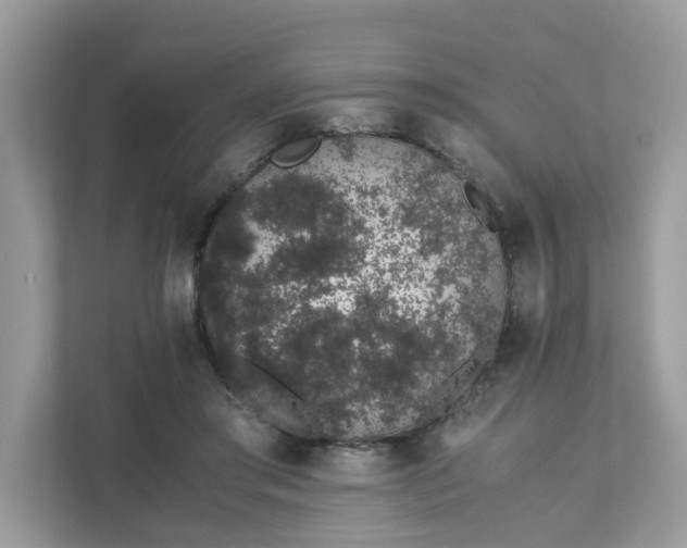 X0000111880405200907301141