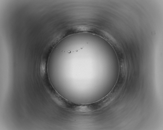 X0000111880406200907301141