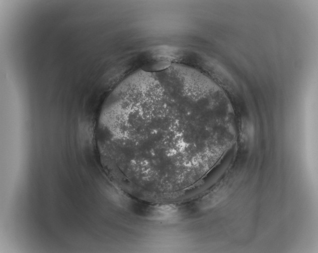 X0000111880409200907301141