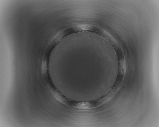 X0000111880410200907301141