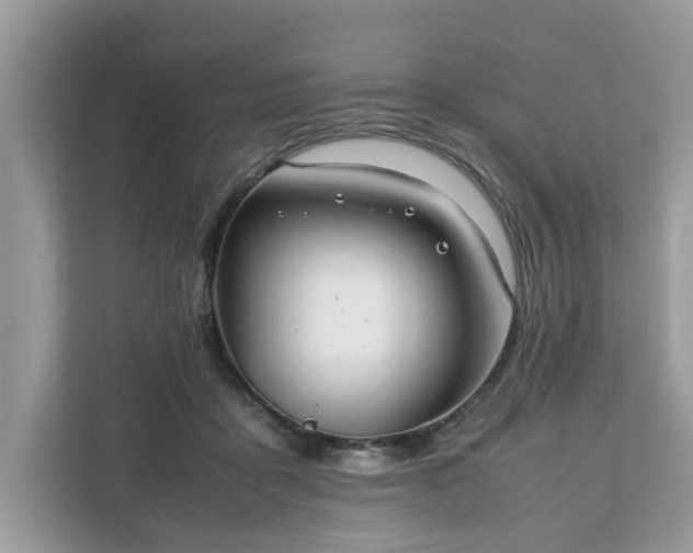 X0000111880411200907301141