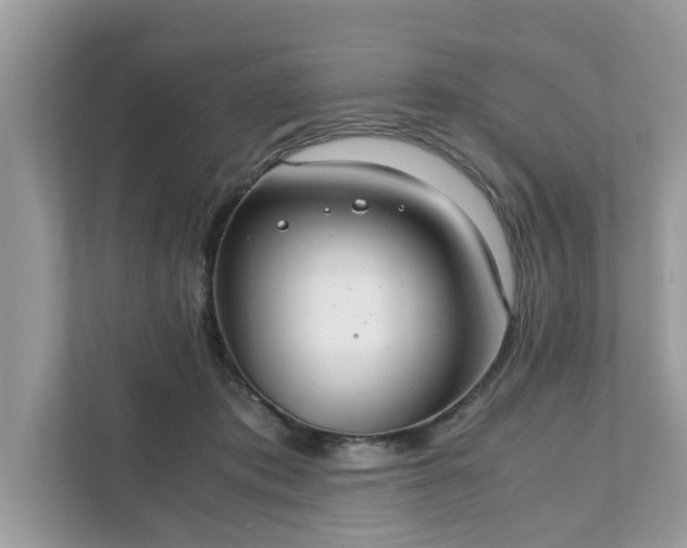 X0000111880413200907301141