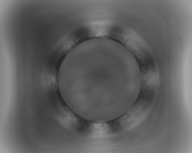 X0000111880415200907301141