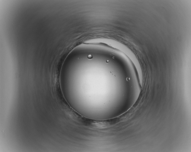 X0000111880417200907301141