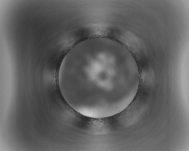 X0000111880423200907301141