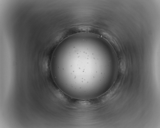 X0000111880424200907301141