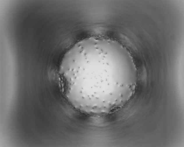 X0000111880425200907301141