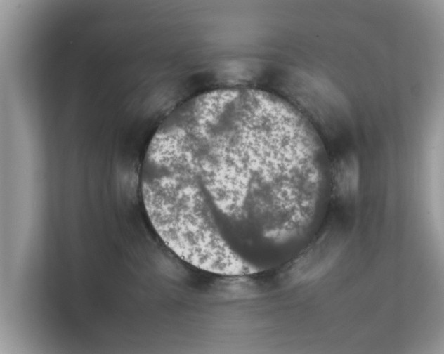 X0000111880427200907301141