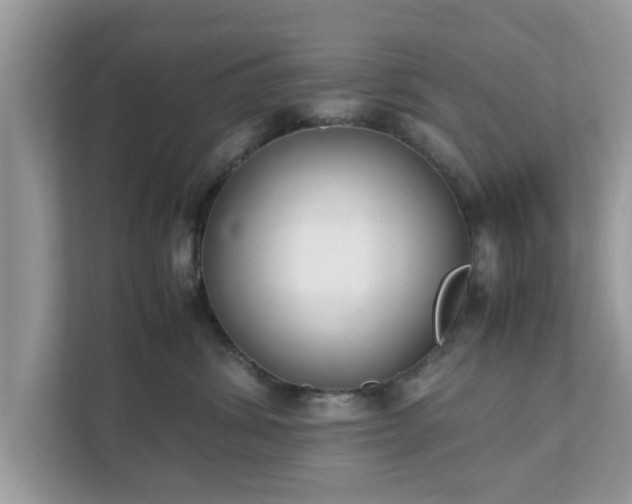 X0000111880428200907301141