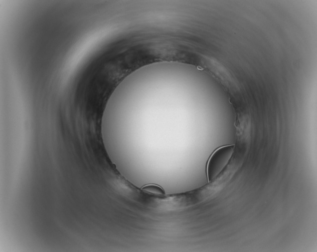 X0000111880430200907301141