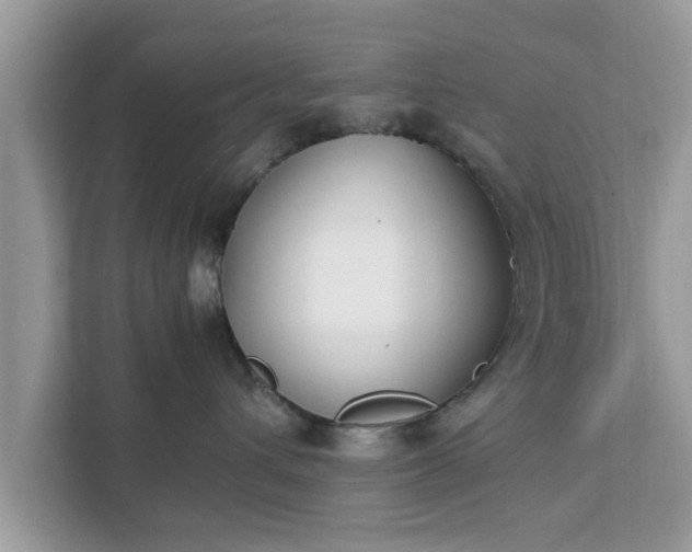 X0000111880432200907301141