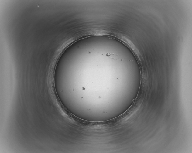 X0000111880433200907301140