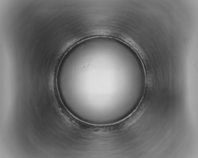 X0000111880434200907301140