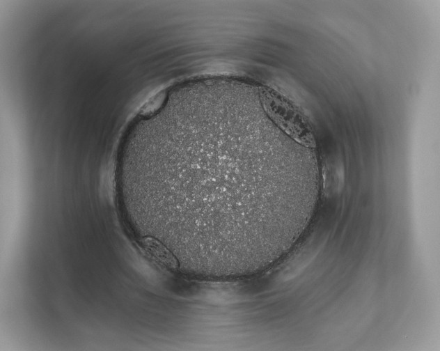 X0000111880436200907301140