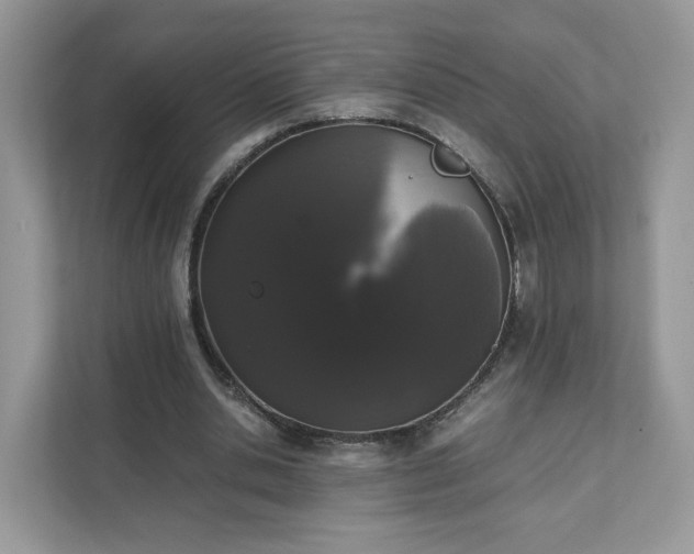 X0000111880438200907301140