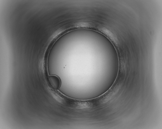 X0000111880439200907301140