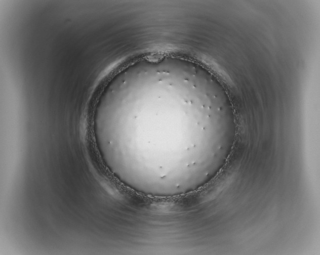 X0000111880440200907301140