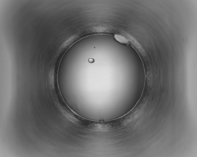 X0000111880442200907301140