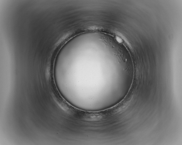 X0000111880443200907301140