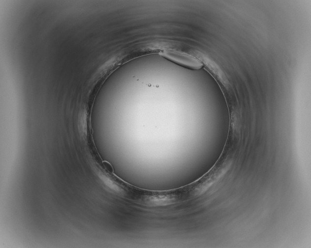 X0000111880445200907301140
