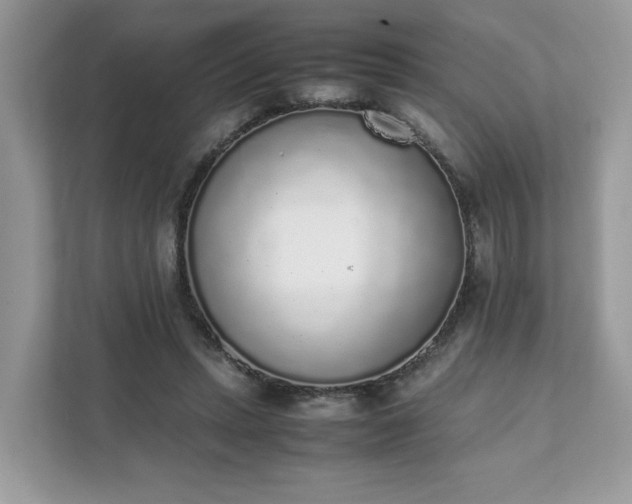 X0000111880447200907301140