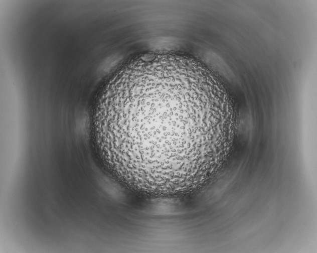 X0000111880448200907301140
