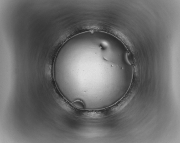 X0000111880449200907301140