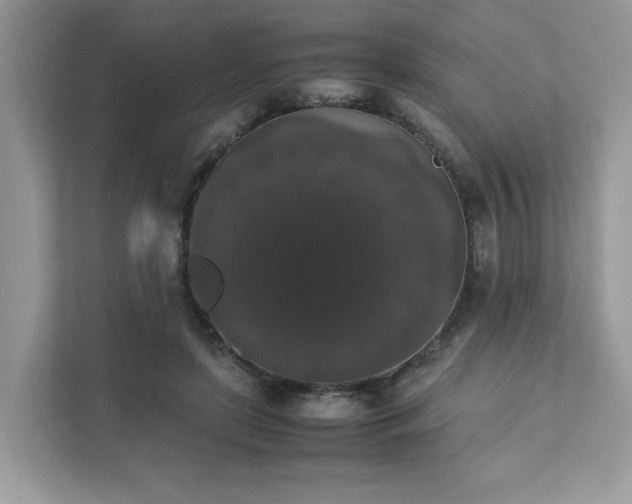 X0000111880451200907301140