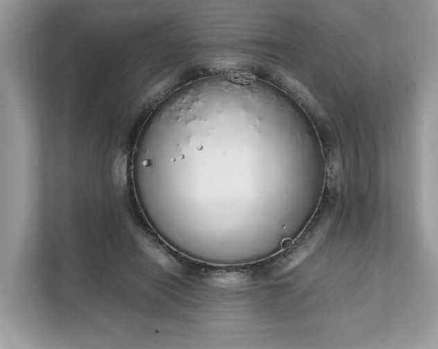 X0000111880454200907301140