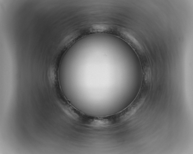 X0000111880455200907301140