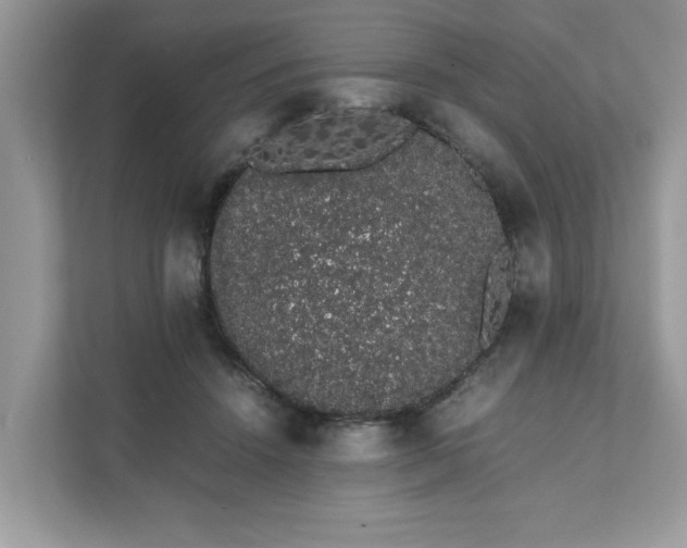 X0000111880456200907301140