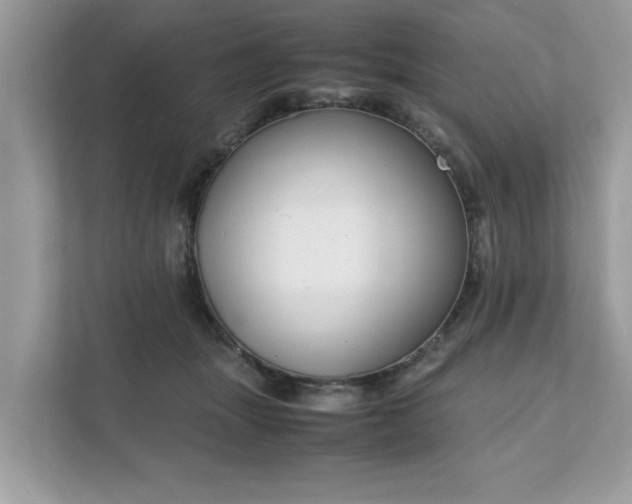 X0000111880463200907301140
