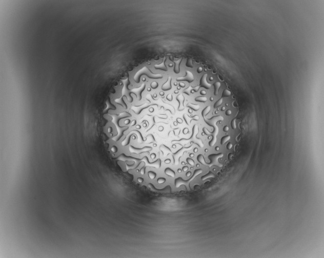 X0000111880464200907301140