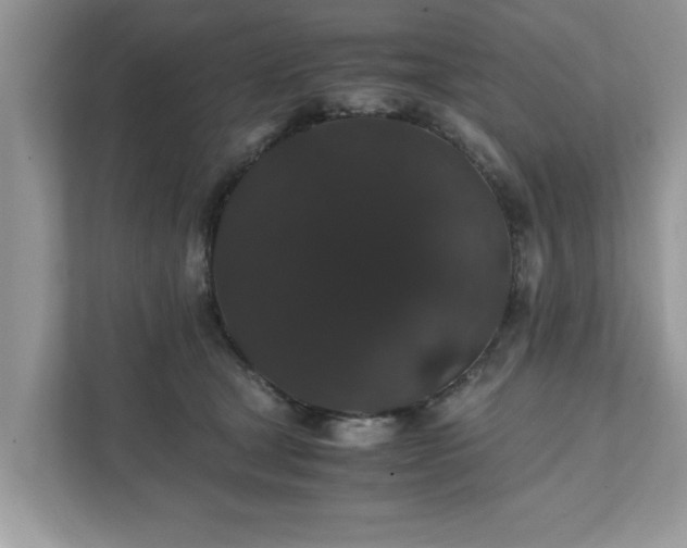 X0000111880465200907301140