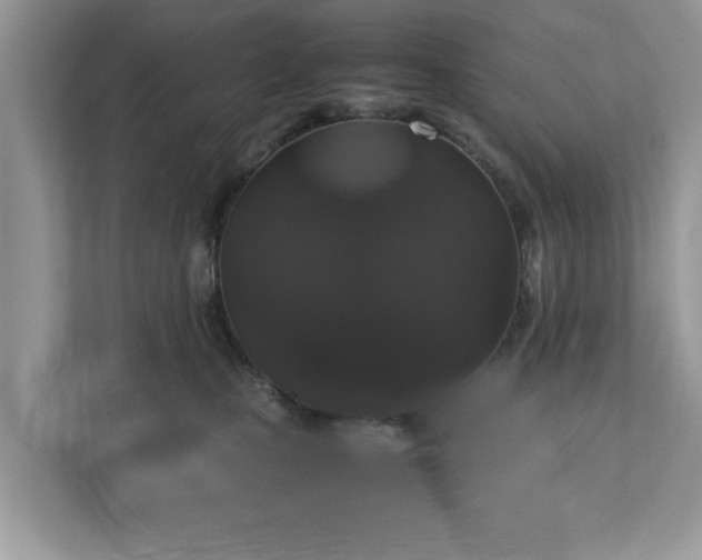 X0000111880471200907301141